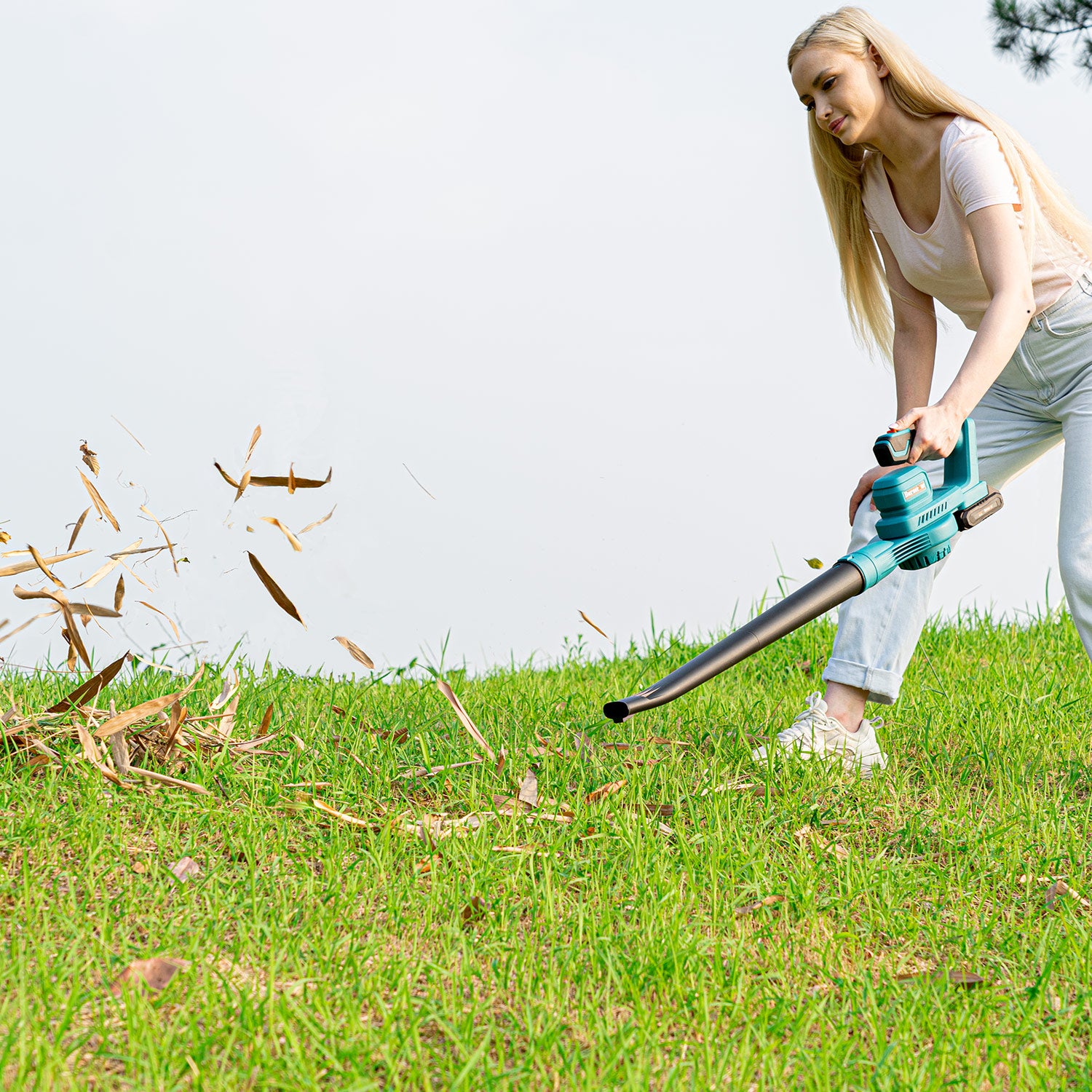 20V Mini Cordless Leaf Blower